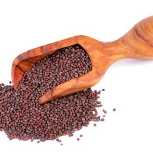 Mustard Seeds